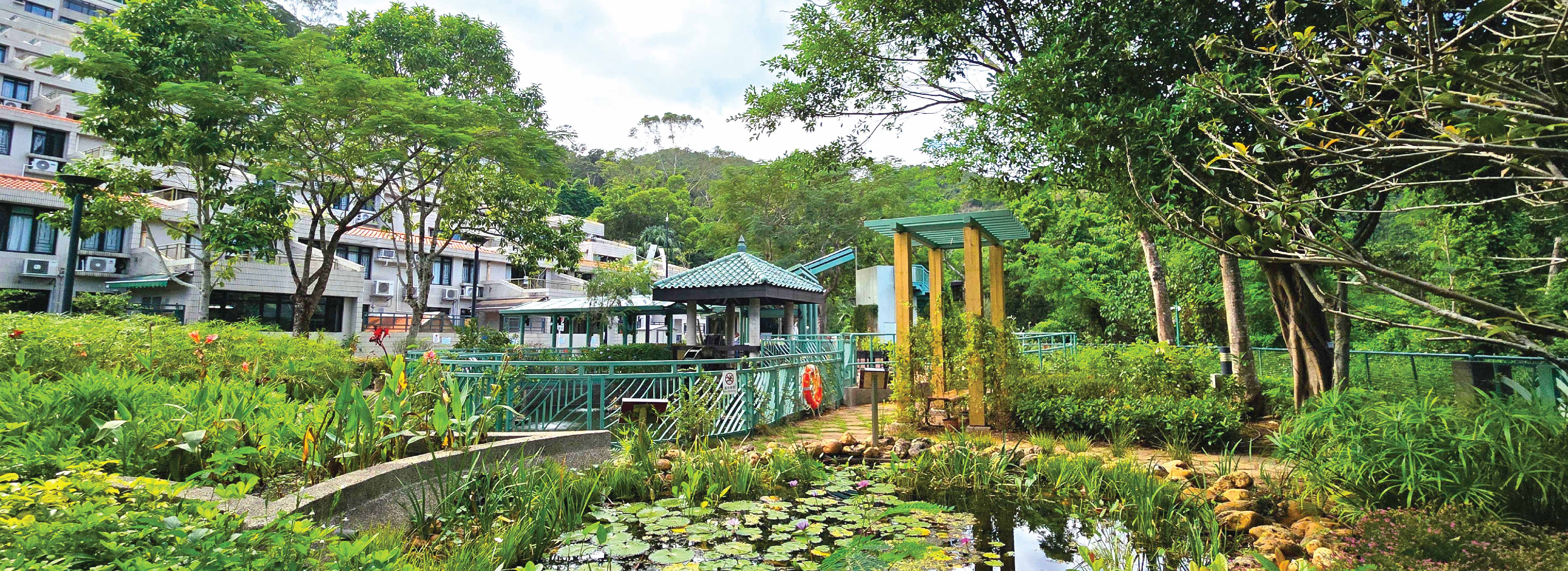 Eco-Garden_2