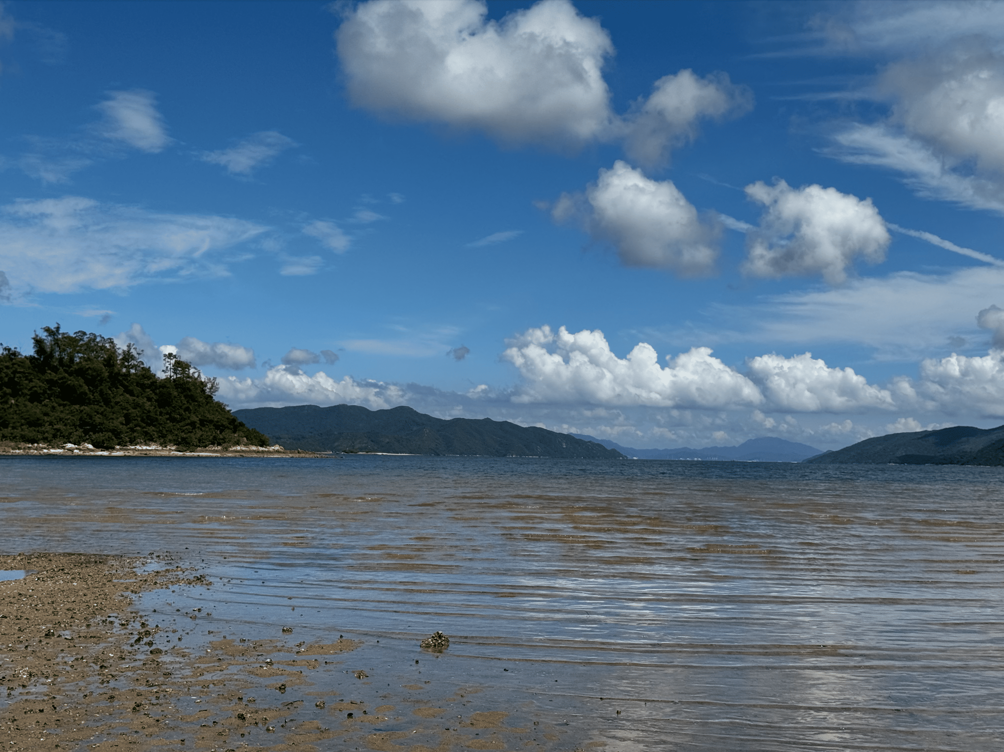 Starfish Bay